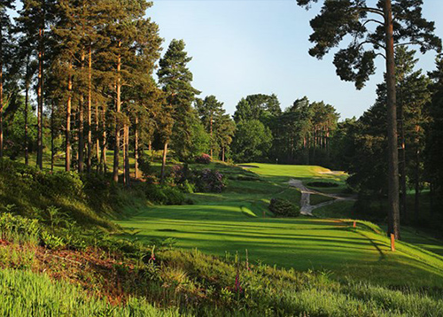 golf-south-image2